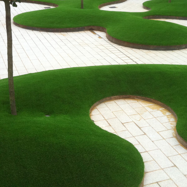 LazyLawn project in Endeavour School, Hampshire