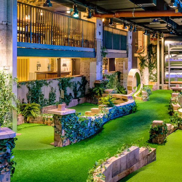 LazyLawn Turf in Swingers, London